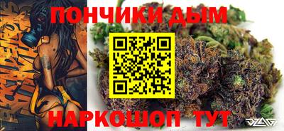 шишки Заволжье