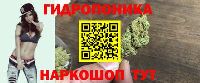 jwh Дубна