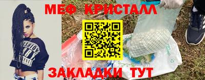 шишки Заволжье