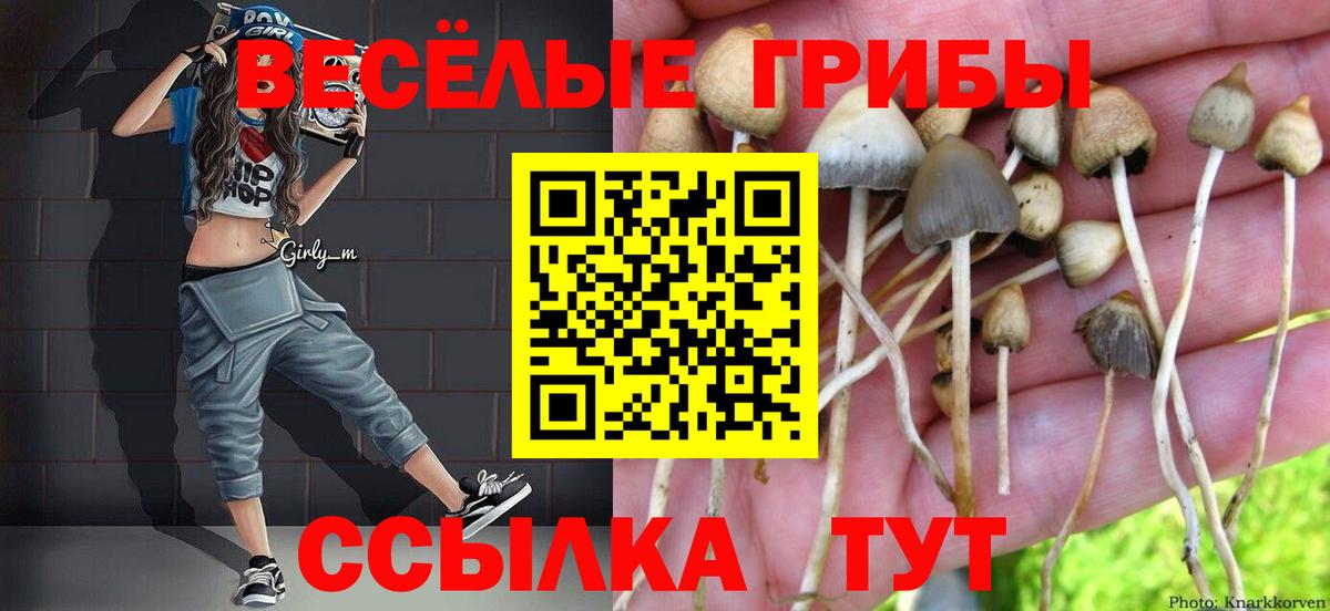 Псилоцибиновые грибы мухоморы  Вход с VPN  Назарово 